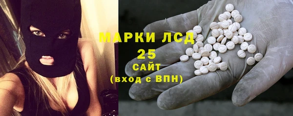 spice Богородск