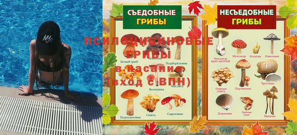 ПСИЛОЦИБИНОВЫЕ ГРИБЫ Приозерск