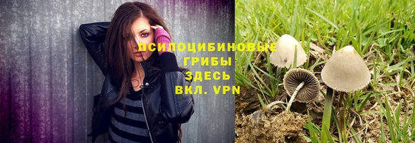 метадон Беломорск