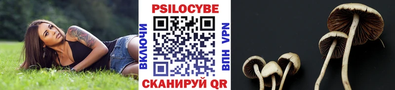 Галлюциногенные грибы прущие грибы  Минеральные Воды 